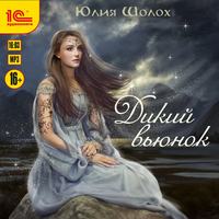 . Дикий вьюнок