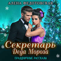 . Секретарь Деда Мороза. Праздничные рассказы