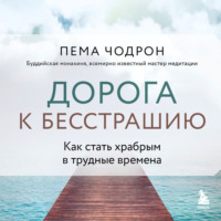 . Дорога к бесстрашию. Как стать храбрым в трудные времена