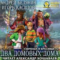 Андрей Белянин. Два домовых дома