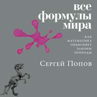 Сергей Попов. Все формулы мира