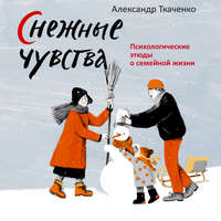 Александр Ткаченко. Снежные чувства