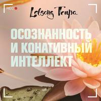 . Осознанность и конативный интеллект