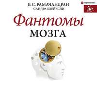 . Фантомы мозга
