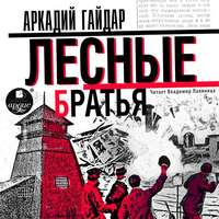 Аркадий Гайдар. Лесные братья (Давыдовщина)