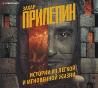 . Истории из лёгкой и мгновенной жизни