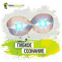 . Саммари на книгу «Гибкое Сознание. Новый взгляд на психологию развития взрослых и детей». Кэрол Дуэк