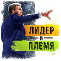 . Саммари на книгу «Лидер и племя. Пять уровней корпоративной культуры». Дэйв Логан, Джон Кинг