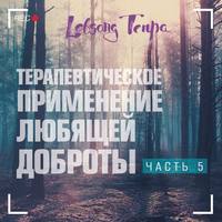 . Терапевтическое применение практики любящей доброты. Часть 5