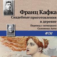 Франц Кафка. Свадебные приготовления в деревне