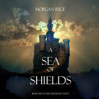 . A Sea of Shields