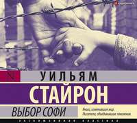 . Выбор Софи
