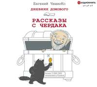 . Дневник Домового. Рассказы с чердака