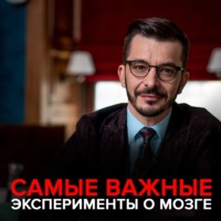 Андрей Курпатов. Самые важные эксперименты о мозге.