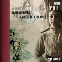 . Колесо времени. Кадеты