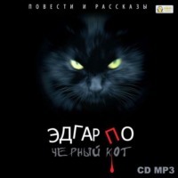 . Черный кот. Повести и рассказы