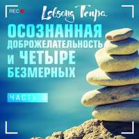 . Осознанная доброжелательность и четыре безмерных. Часть 3