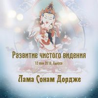 . Развитие чистого видения