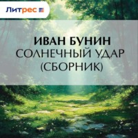 . Солнечный удар (сборник)