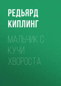 . Мальчик с кучи хвороста