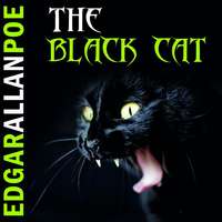 Эдгар Аллан По. The Black Cat