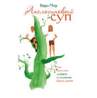 . Апельсиновый суп (сборник)