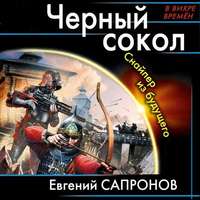 . Черный сокол. Снайпер из будущего