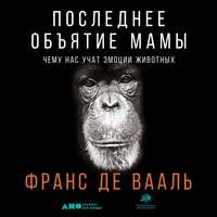 . Последнее объятие Мамы