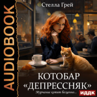. Котобар «Депрессняк»