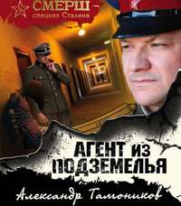 . Агент из подземелья