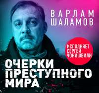 . Очерки преступного мира