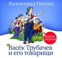 . Васек Трубачев и его товарищи. Книга первая