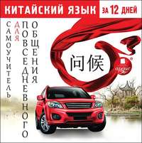 Коллектив авторов. Китайский язык за 12 дней. Самоучитель для повседневного общения