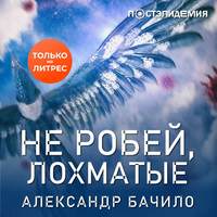 . Не робей, лохматые!