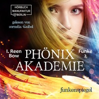. Funkenspiegel - Ph?nixakademie, Band 2 (ungek?rzt)