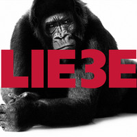 Hagen Rether. Hagen Rether, Liebe 3