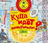 Владимир Малов. Куда идёт электричество?