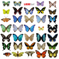 . Liebe f?nf