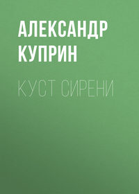 . Куст сирени