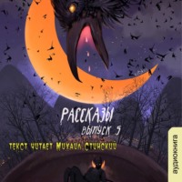 . Рассказы 5. Обратная сторона