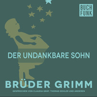 . Der undankbare Sohn