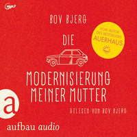 . Die Modernisierung meiner Mutter - Geschichten
