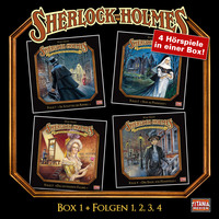 . Sherlock Holmes - Die geheimen F?lle des Meisterdetektivs, Box 1: Folgen 1, 2, 3, 4