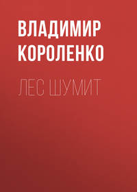 . Лес шумит