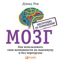 . Мозг. Инструкция по применению. Как использовать свои возможности по максимуму и без перегрузок