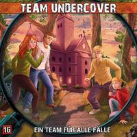 . Team Undercover, Folge 16: Ein Team f?r alle F?lle