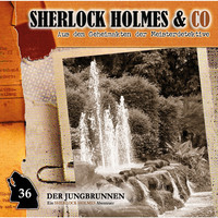 . Sherlock Holmes & Co, Folge 36: Der Jungbrunnen, Episode 1