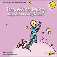 . Der kleine Prinz stopft den Schrumpfplaneten - Der kleine Prinz, Band 7 (Ungek?rzt)