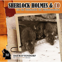 . Sherlock Holmes & Co, Folge 30: Das Rattendorf