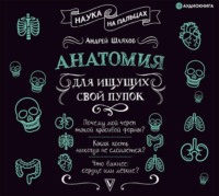 Андрей Шляхов. Анатомия для ищущих свой пупок